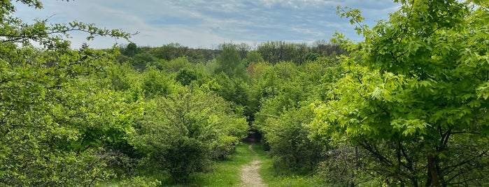 Devínska Kobyla is one of MTB spots.