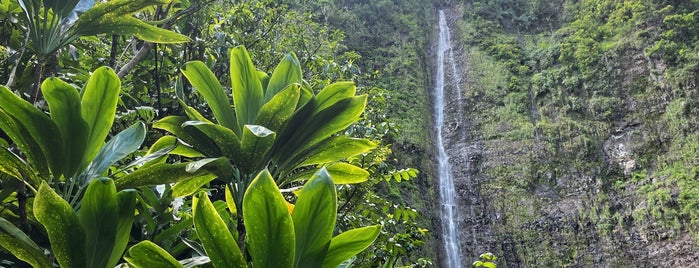 Waimoku Falls is one of Hawaii.