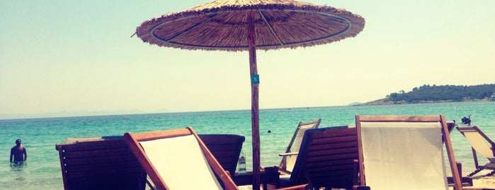 Λευκή Άμμος is one of 🌞🌊Chalkidiki-->to The Beach 🐋🐬🐟🐠🐡🦀.
