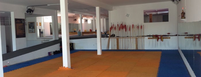 Tat Wong Kung Fu Academy is one of สถานที่ที่ Alberto Luthianne ถูกใจ.