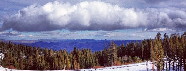 Mt. Rose - Ski Tahoe is one of Lugares favoritos de Guy.