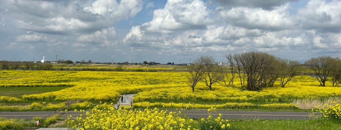 関宿城趾 is one of 観光7.