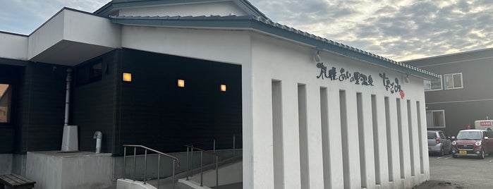 札幌あいの里温泉 なごみの湯 is one of 石狩管内(札幌市内・近郊)の温泉.