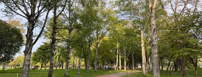 緑ヶ丘公園 is one of 公園.