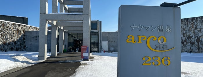 ナウマン温泉ホテル アルコ236 is one of Hotel.