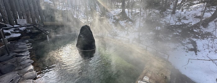 ぬかびら源泉郷 湯元館 is one of 気になる北海道.