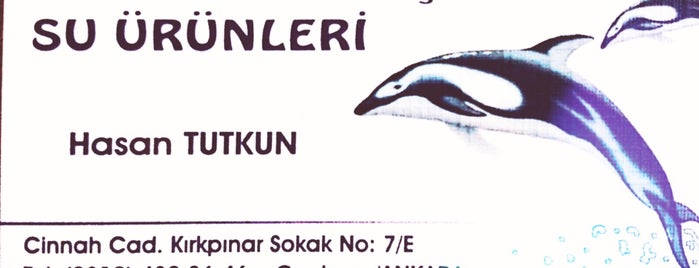 deniz balikcilik is one of Ankara.