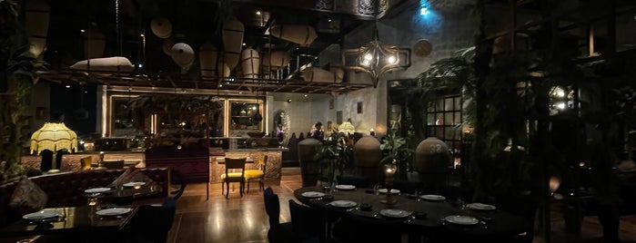 COYA is one of Fine dining.