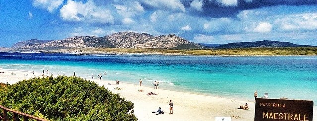 Spiaggia della Pelosa is one of Favorite beaches & places in N-Sardinia.