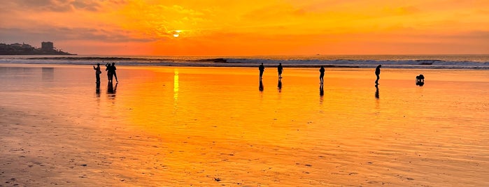 La Jolla Shores Park is one of California.