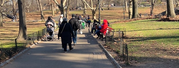 Central Park Scenic Benches is one of Lugares favoritos de Chris.