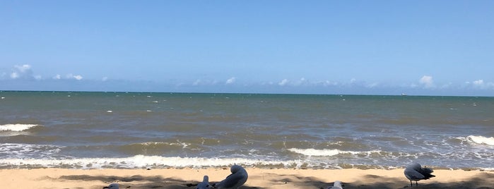 Palm Cove is one of Oceanía.