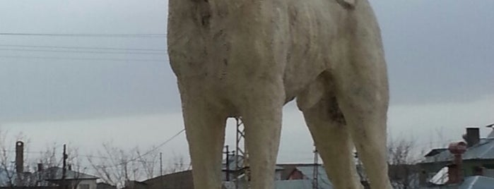 Kangal Çiftliği is one of Locais curtidos por Aykut.