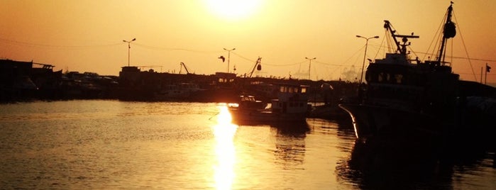 Avcılar Barınak Cafe is one of Lugares favoritos de Murat.