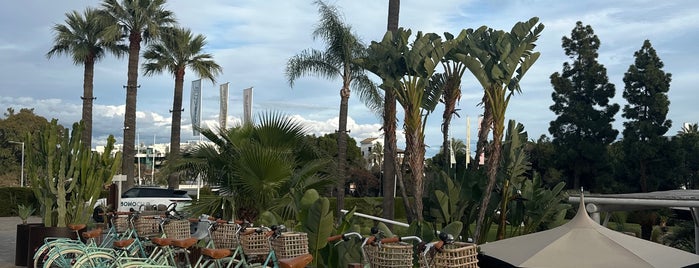 Boho Club is one of Marbella.