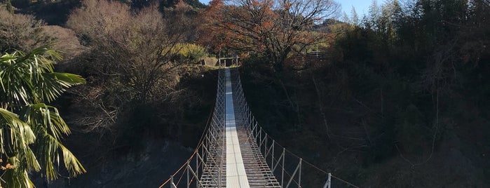 立花の吊橋 is one of 静岡県の吊橋.