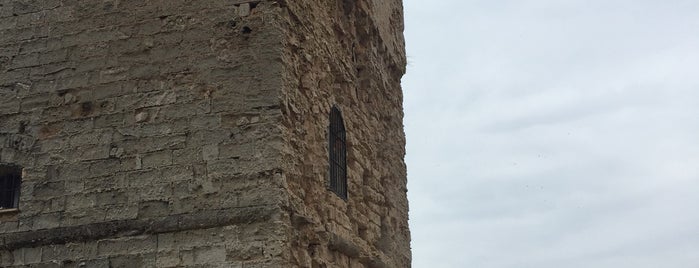 Torre Marina Serra is one of Puglia.