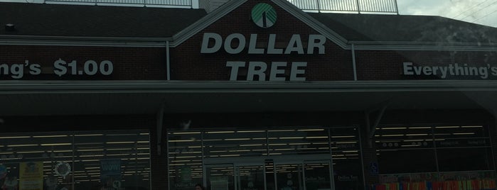 Dollar Tree is one of Shopping.