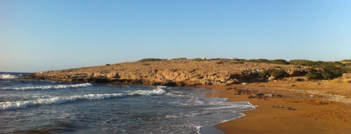 Alagadi Turtle Beach is one of Tempat yang Disukai Екатерина.
