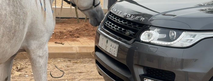 مربط الوصيل للخيل العربية is one of Horse ridding Riyadh.