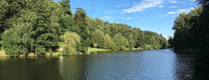 Tsaritsyno Park is one of Lieux qui ont plu à Nadezhda.