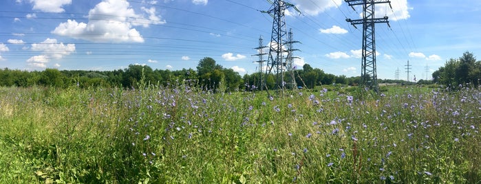 Люблинский ПКиО is one of สถานที่ที่ Nadezhda ถูกใจ.