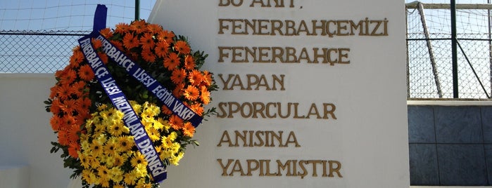 Fenerbahçe Spor Klubü is one of İstanblue.
