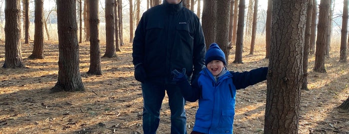 Cuba Marsh Forest Preserve is one of Chicago - Fun.