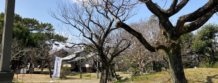 The villa owned by the load of the domain of Tanaka is one of 城・城址・古戦場等（１）.