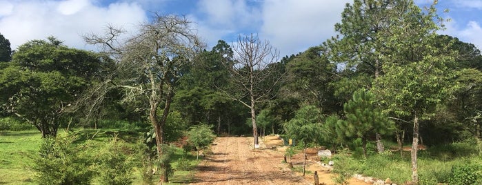 Bosque El Manto is one of Locais curtidos por Sus.