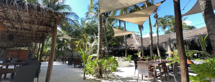 Ziggys Beach Club is one of Yucatan.