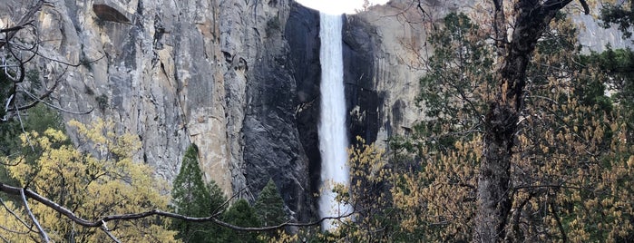 Bridalveil Falls is one of Yosemite.