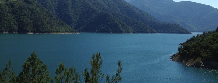 Altınkaya Barajı is one of Samsun.