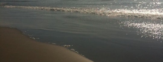 Del Rey Beach is one of Orte, die Farhad gefallen.