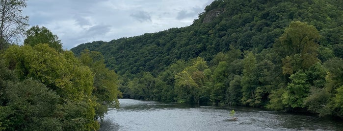 Cherokee National Forest is one of Lieux qui ont plu à Mike.