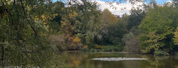 Hall's Pond Sanctuary is one of frequently visited.