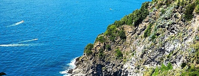 Terrazza Panoramica is one of Riviera di Levante.