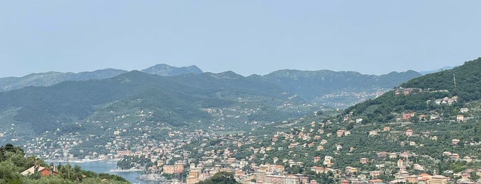 La Cucina Di Nonna Nina is one of genoa.