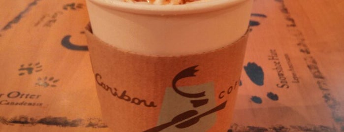 Caribou Coffee is one of Locais curtidos por Erika.