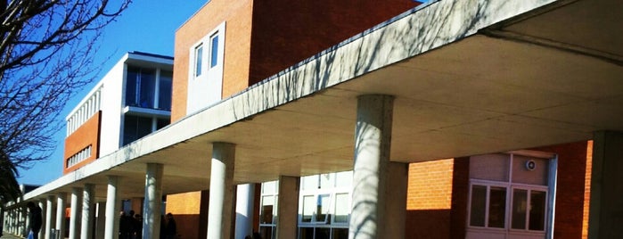 DEGEI - Departamento de Economia, Gestão e Engenharia Industrial is one of Universidade de Aveiro Campus.