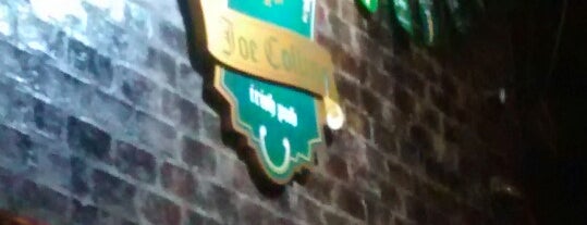 Joe Collins Irish Pub is one of Locais curtidos por Camila.