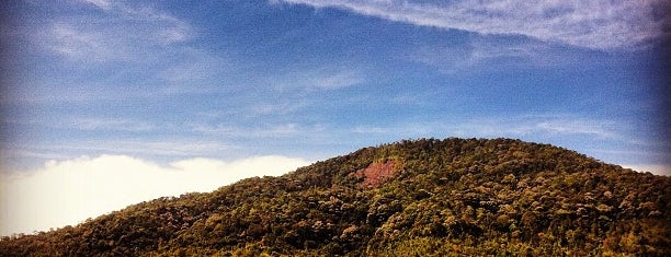 Teluk Bahang Dam is one of Lugares favoritos de See Lok.