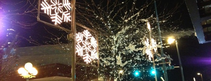 Snowflake Lane is one of Bellevue Christmas List.