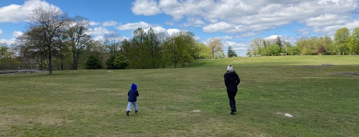 Davenport Park is one of Great outdoors.