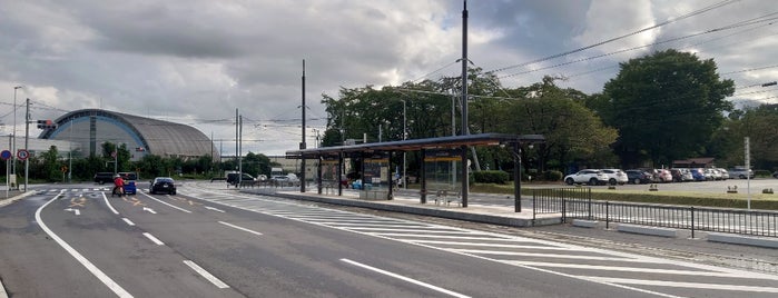 Kashinomori Park Tram Stop is one of 芳賀・宇都宮LRT.