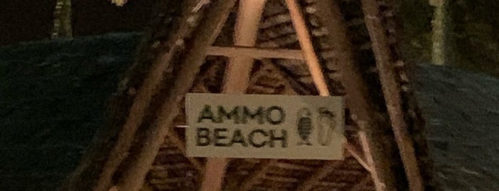 Ammo Beach is one of Locais curtidos por Oliva.