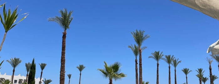 Sunrise Select Diamond Beach Resort is one of Sharm.