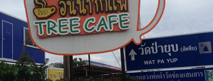Anna Tree Cafe is one of Aom : понравившиеся места.
