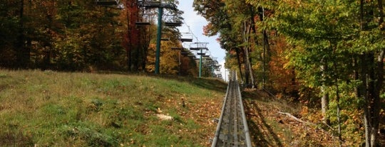 Mountain Coaster  at  Holiday Valley is one of Best places in Ellicottville, NY.