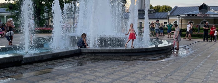 Gydyklų parko muzikinis fontanas is one of Литва 🇱🇹.